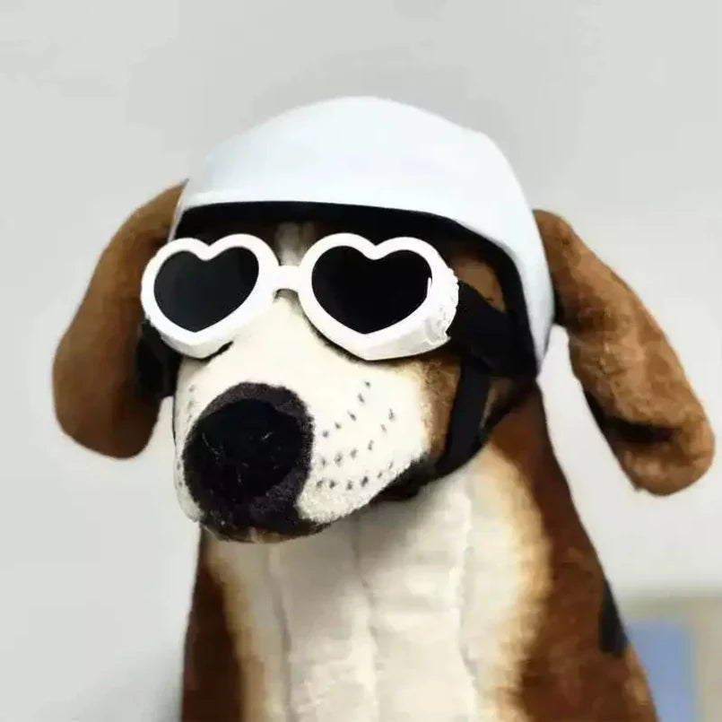 Biker Pet Helmet & Sunglasses Costume Set