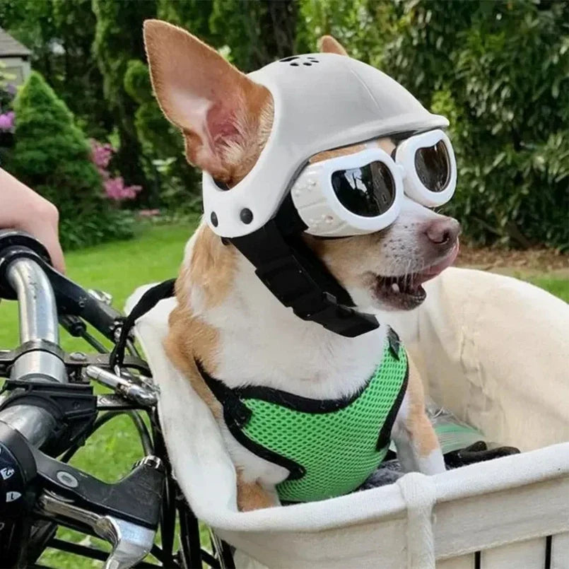 Biker Pet Helmet & Sunglasses Costume Set