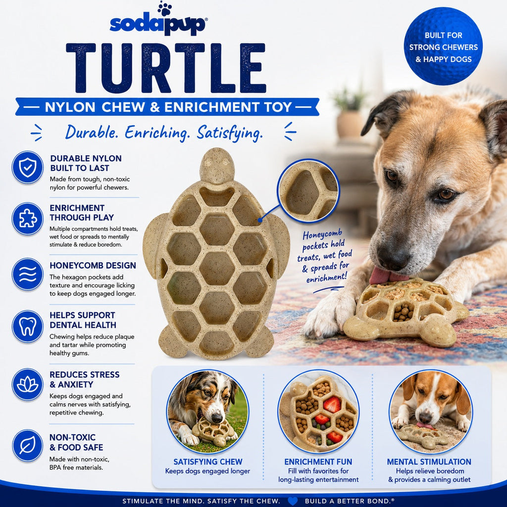 Flauntly Paws Turtle eChew Nylon Dog Toy