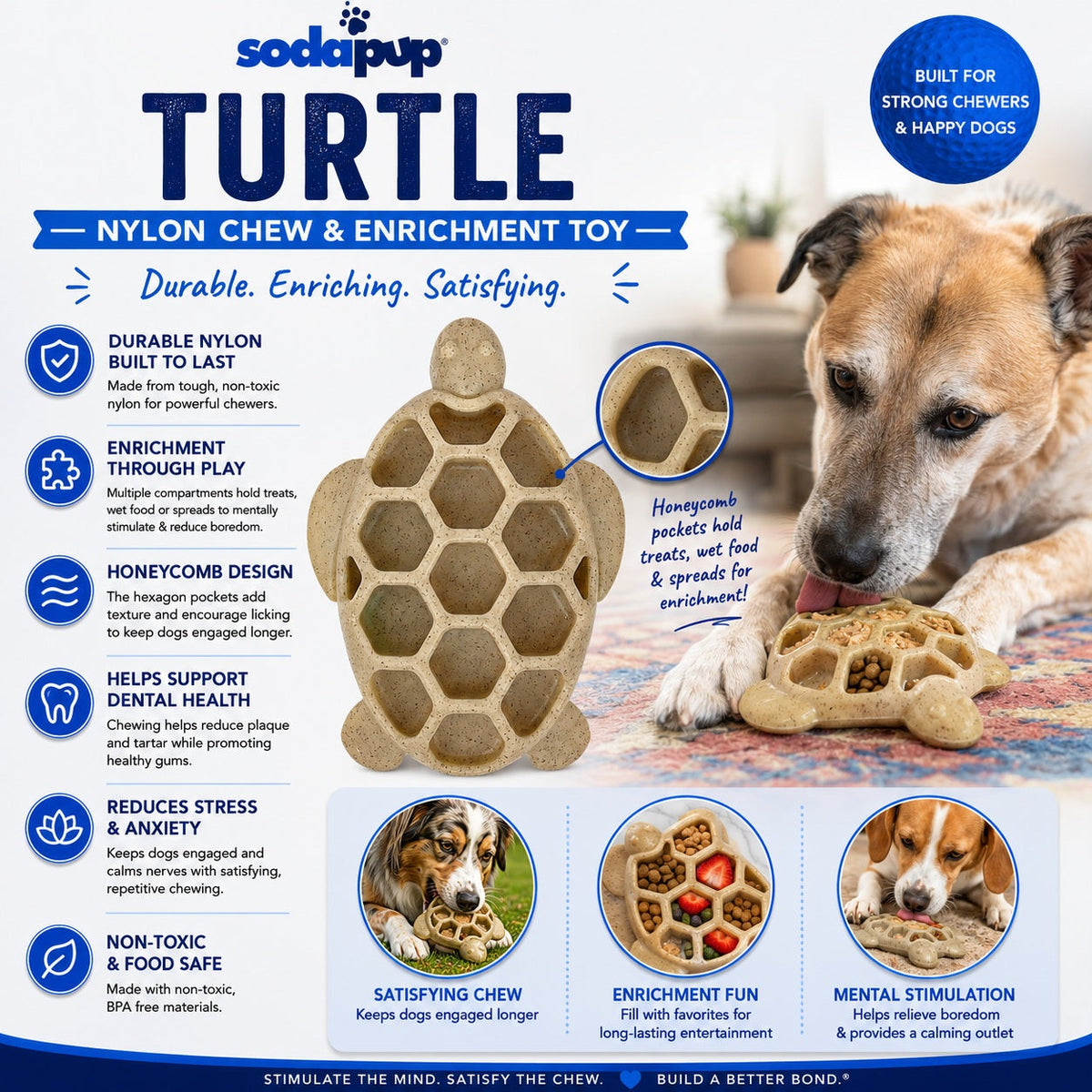 Flauntly Paws Turtle eChew Nylon Dog Toy