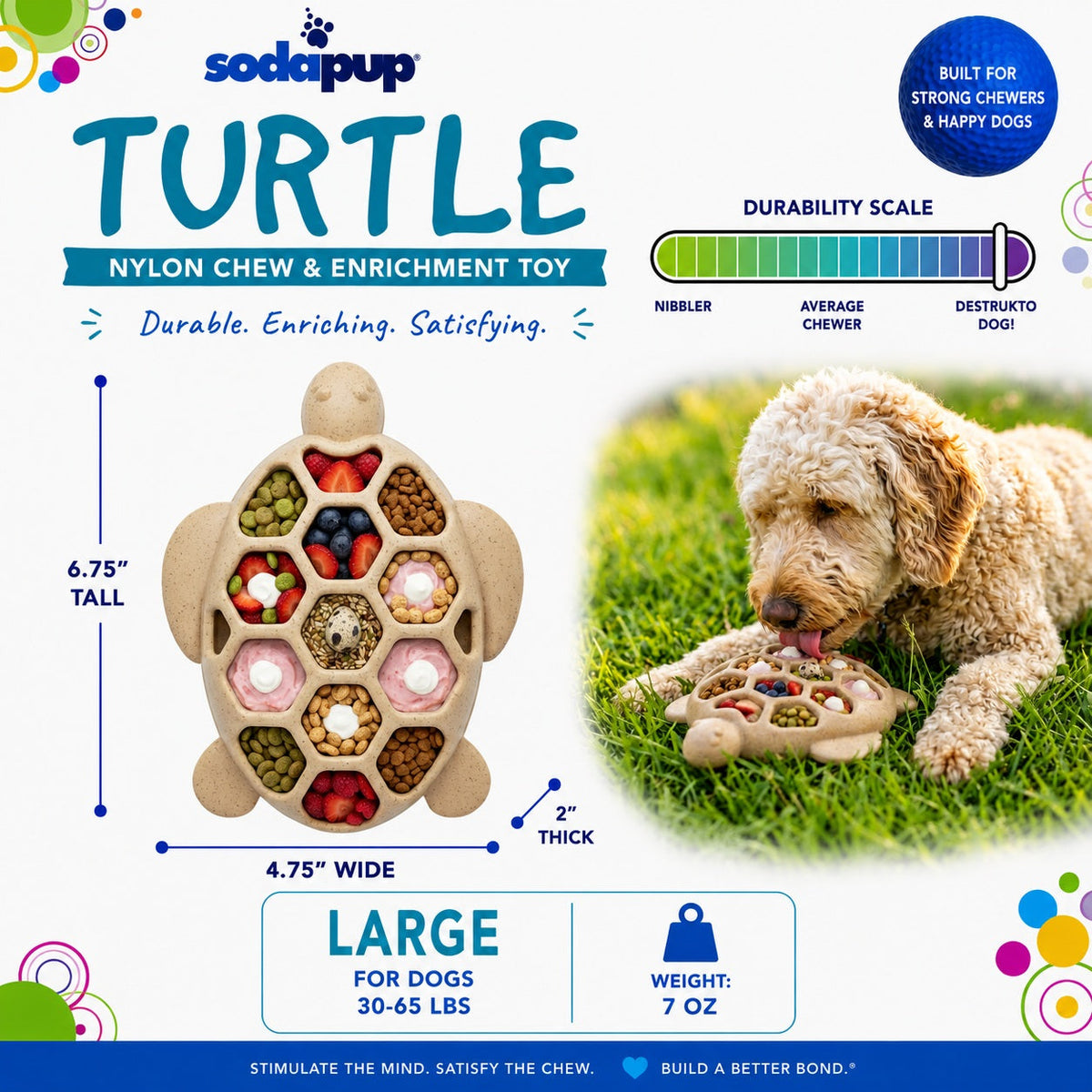 Flauntly Paws Turtle eChew Nylon Dog Toy