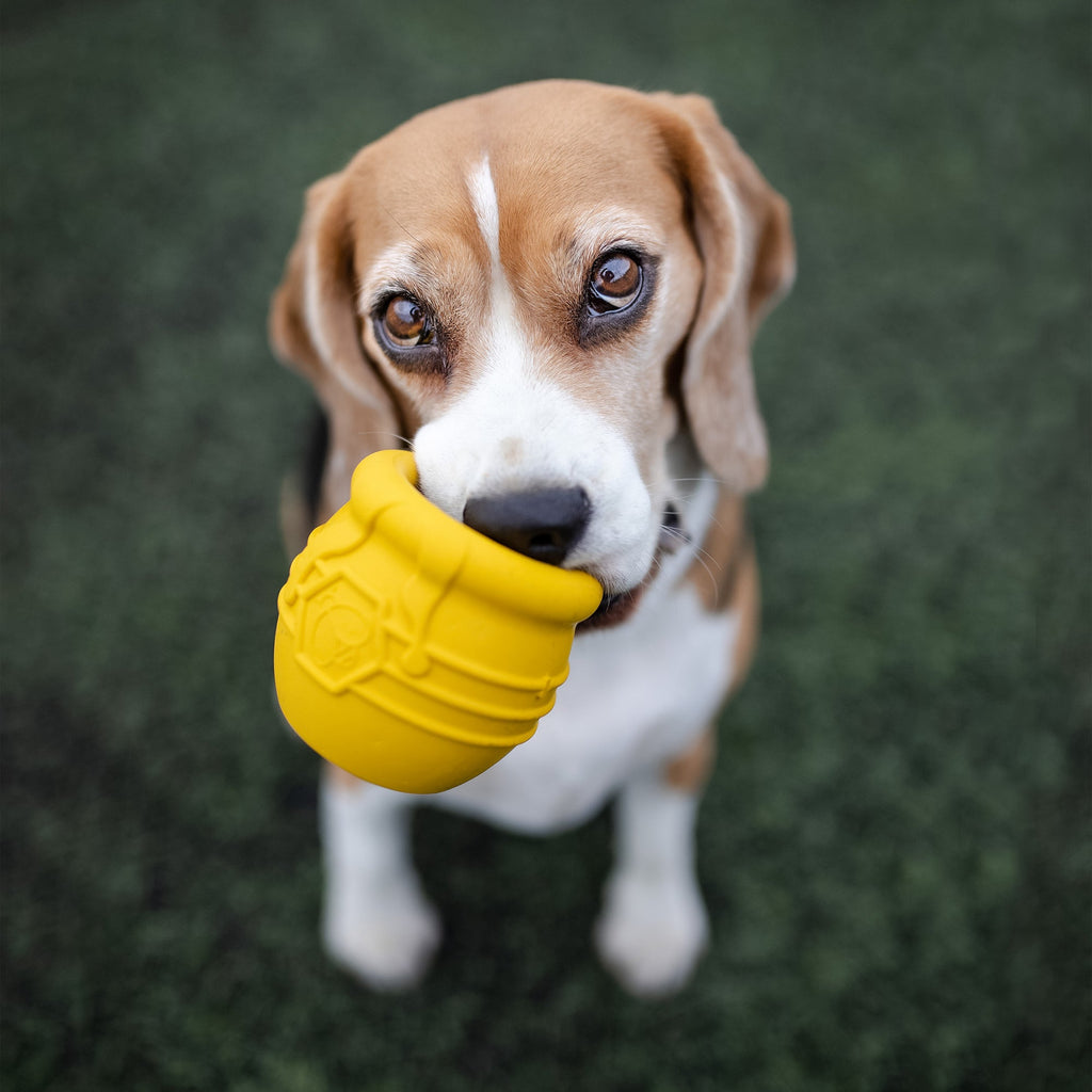 The Honey Pot Treat Dispenser