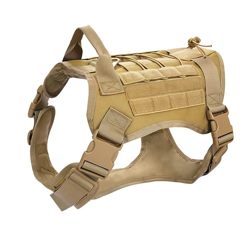 The Ranger Tactical Collar & Harness