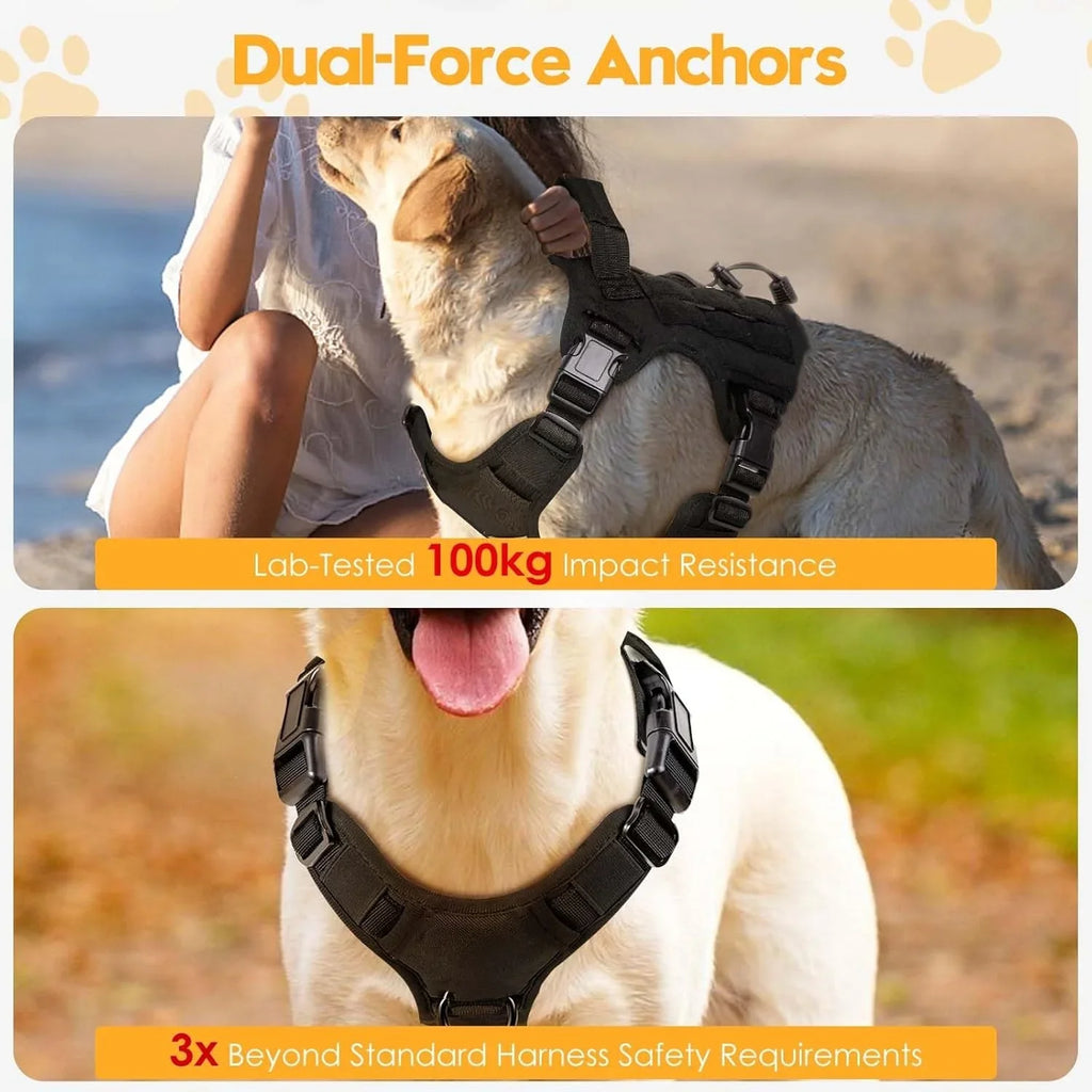 The Ranger Tactical Collar & Harness