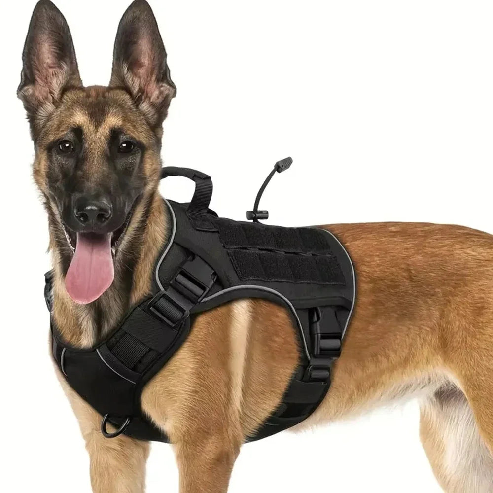The Summit No-Pull Harness