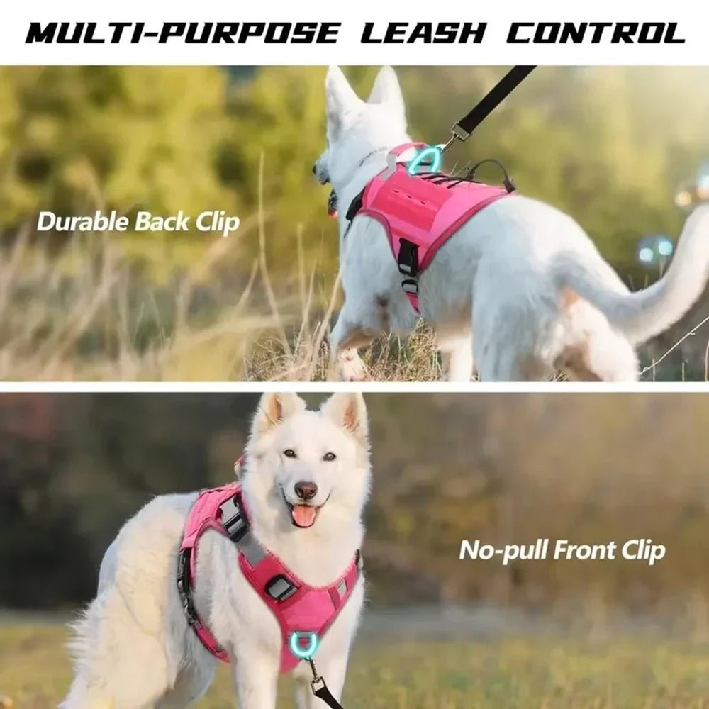 The Summit No-Pull Harness