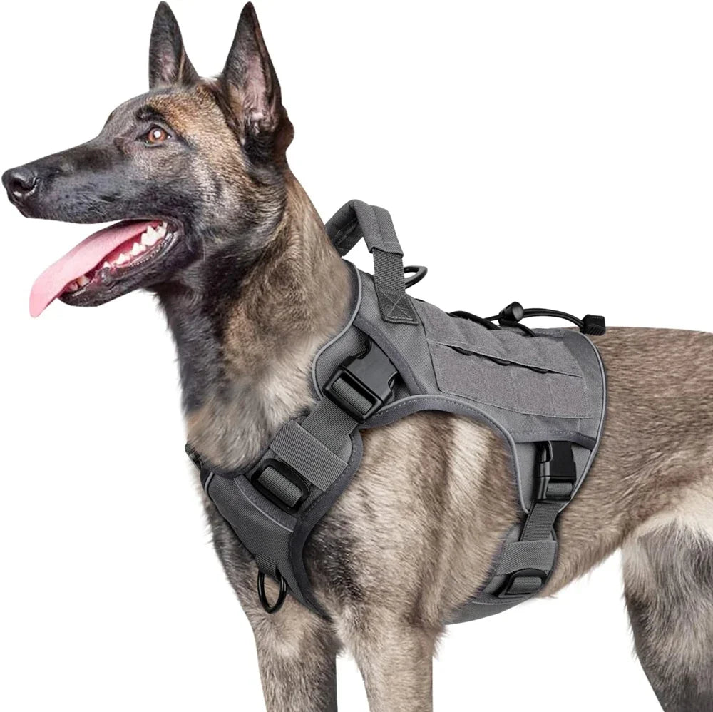 The Summit No-Pull Harness