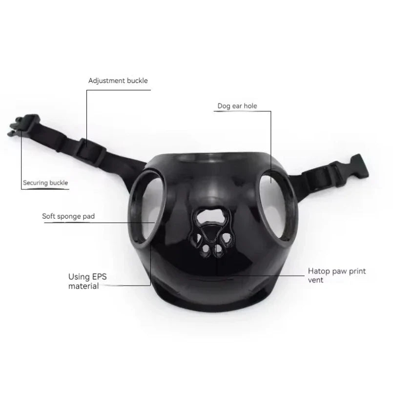 Biker Pet Helmet & Sunglasses Costume Set
