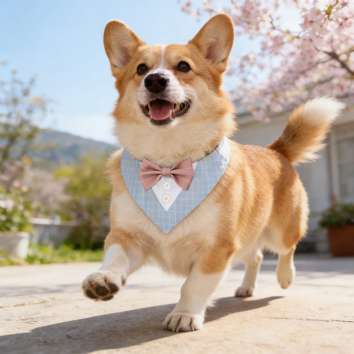 Tuxedo Pet Bandana for Dogs & Cats | Flauntly Paws