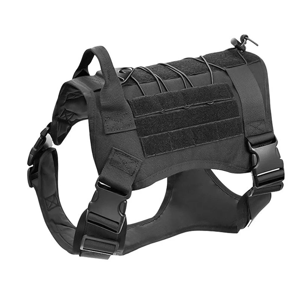 The Ranger Tactical Collar & Harness