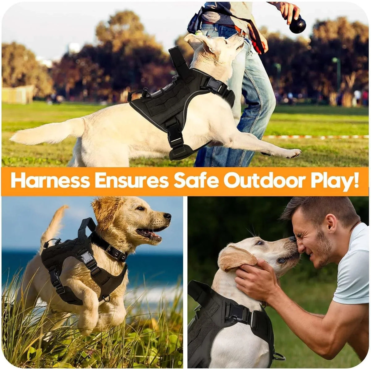 The Ranger Tactical Collar & Harness