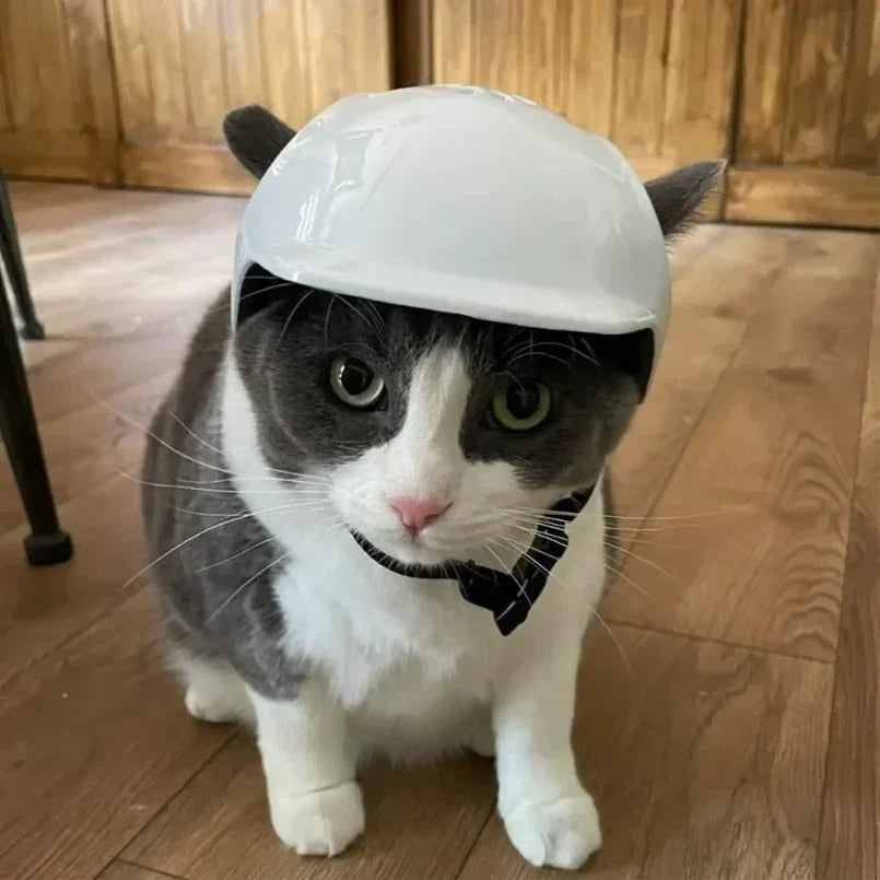 Biker Pet Helmet & Sunglasses Costume Set