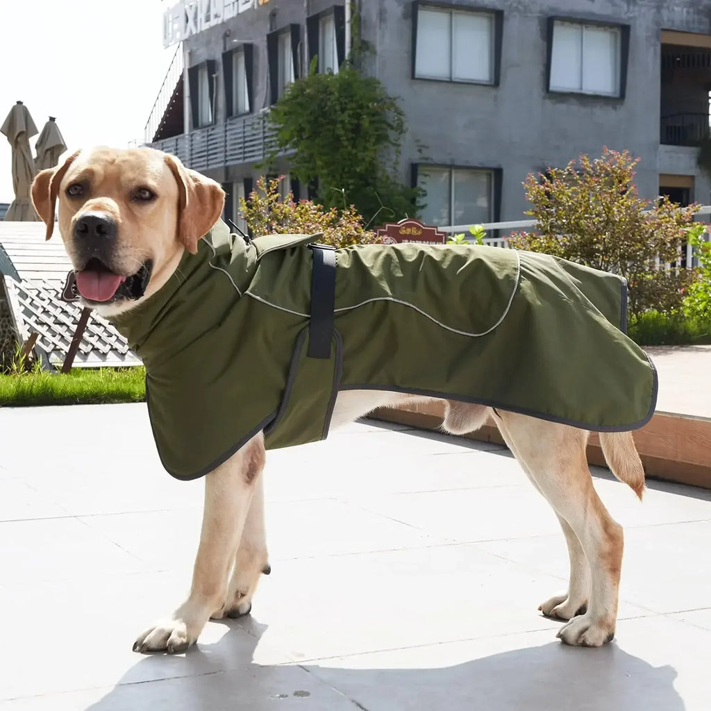 The Windshield Harness Vest