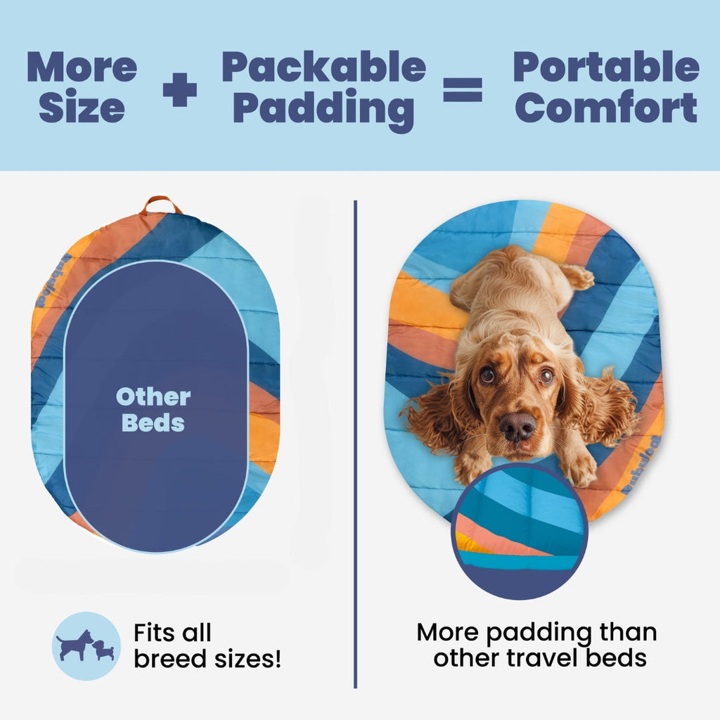 Foldable Travel Dog Bed | Packable, Water-Resistant | Small, Medium & Large