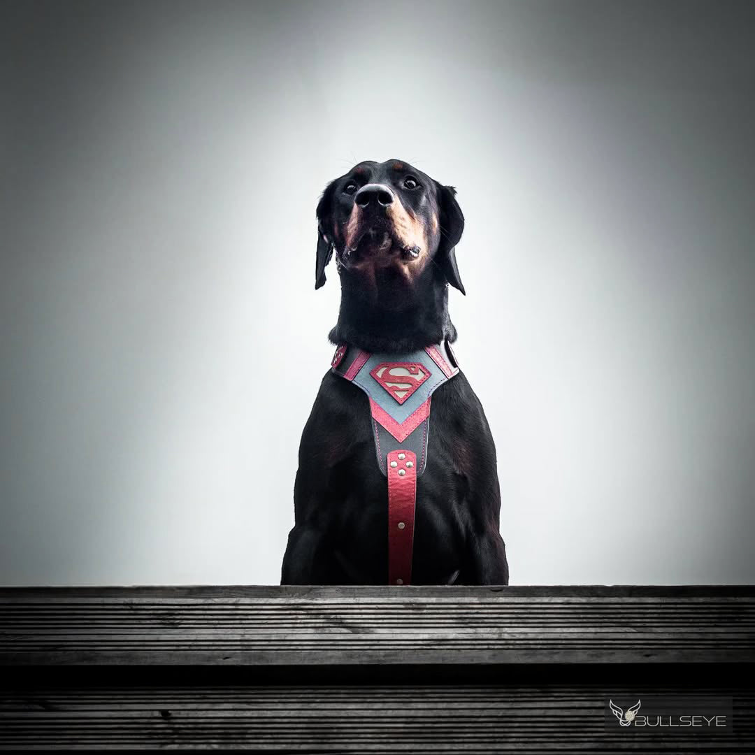 The Hero Harness