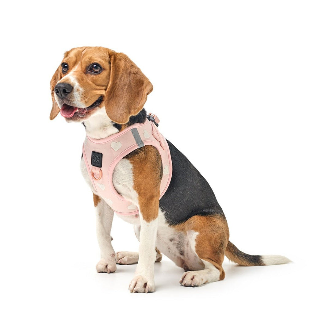 SoHo Step-In Dog Harness — Sweetheart