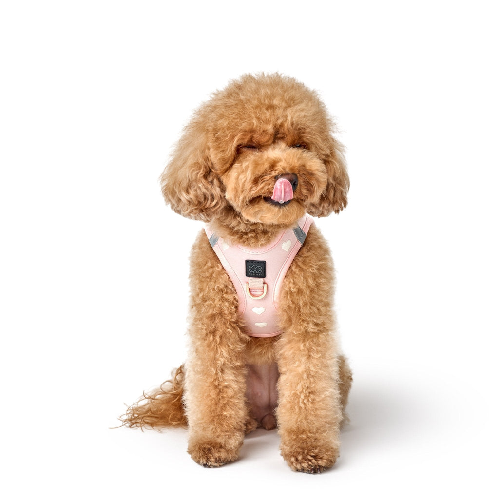 SoHo Step-In Dog Harness — Sweetheart