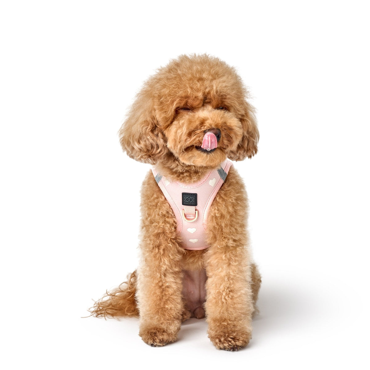 SoHo Step-In Dog Harness — Sweetheart