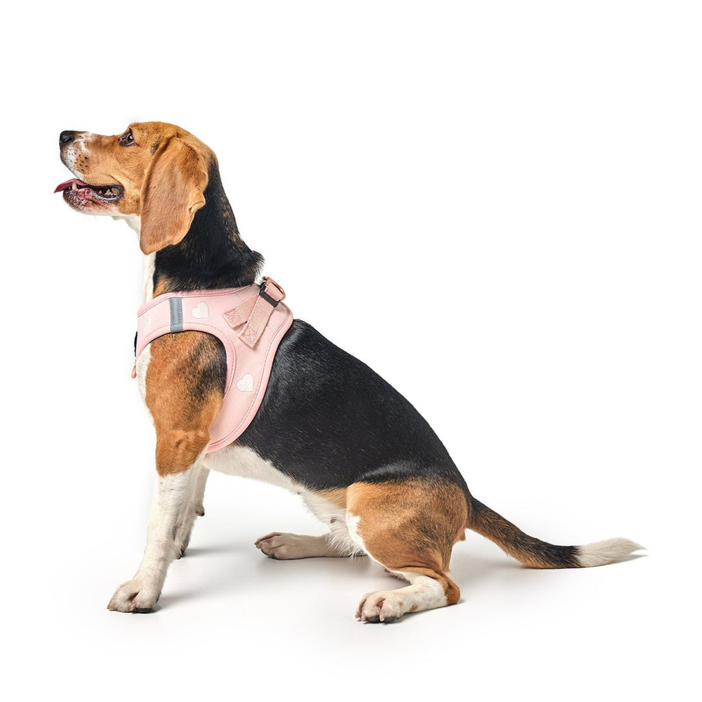 SoHo Step-In Dog Harness — Sweetheart