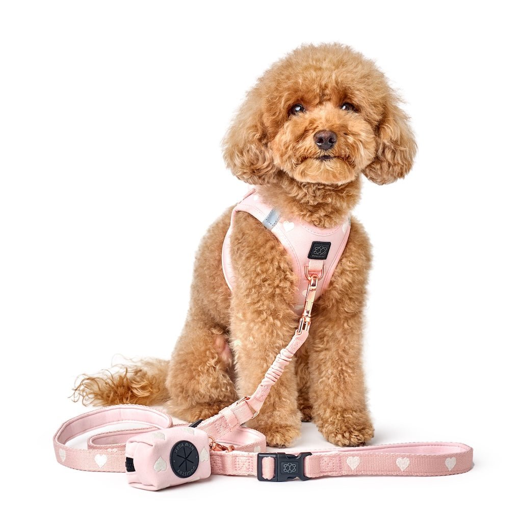 SoHo Step-In Dog Harness — Sweetheart