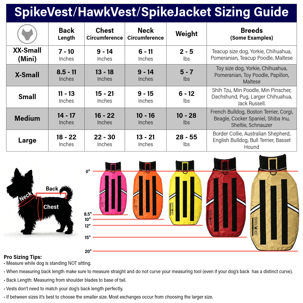 The HawkVest Protection Vest