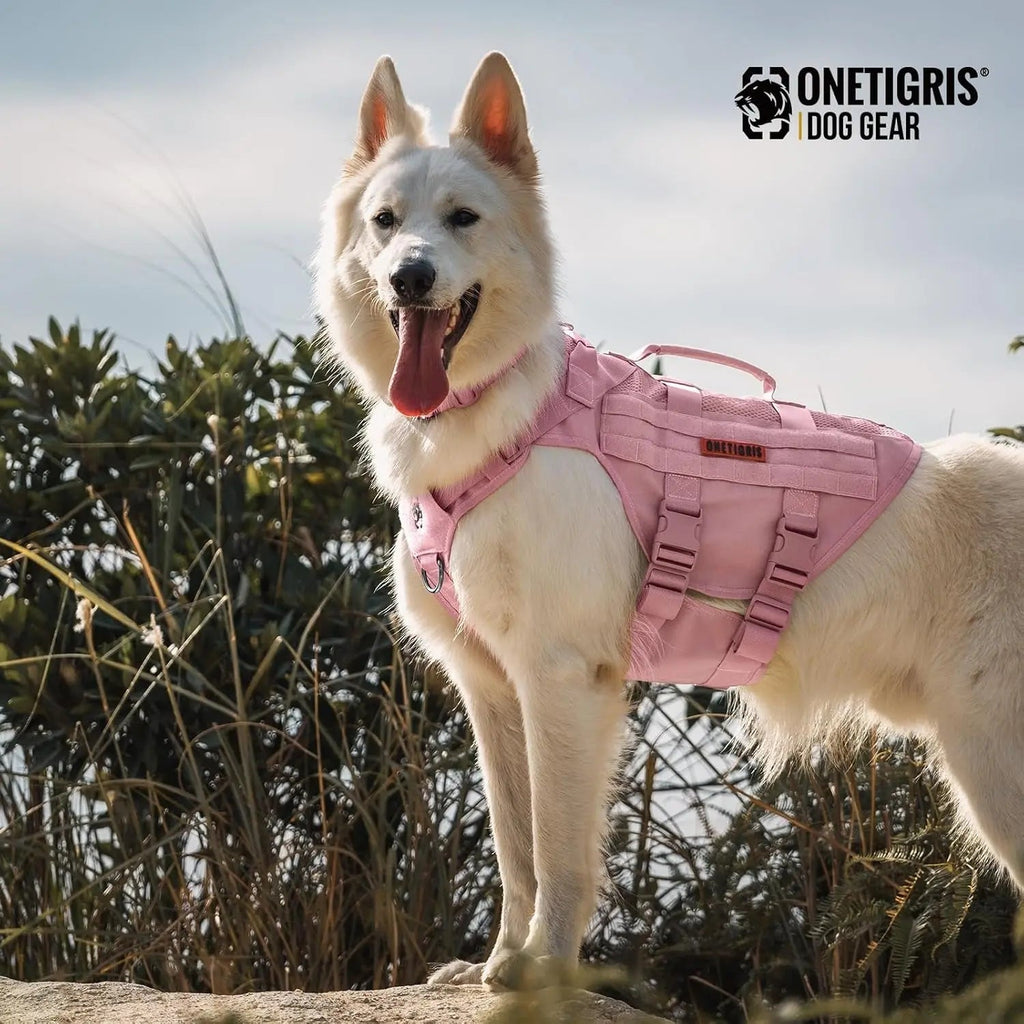 The Stealth MOLLE Harness