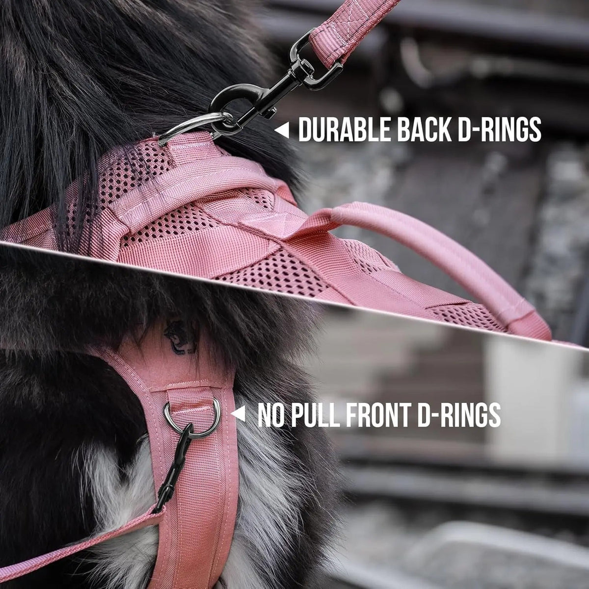 The Stealth MOLLE Harness