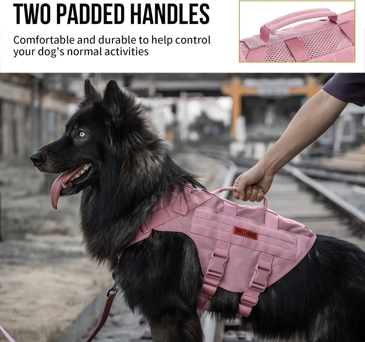 The Stealth MOLLE Harness
