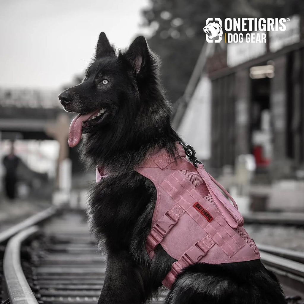 The Stealth MOLLE Harness