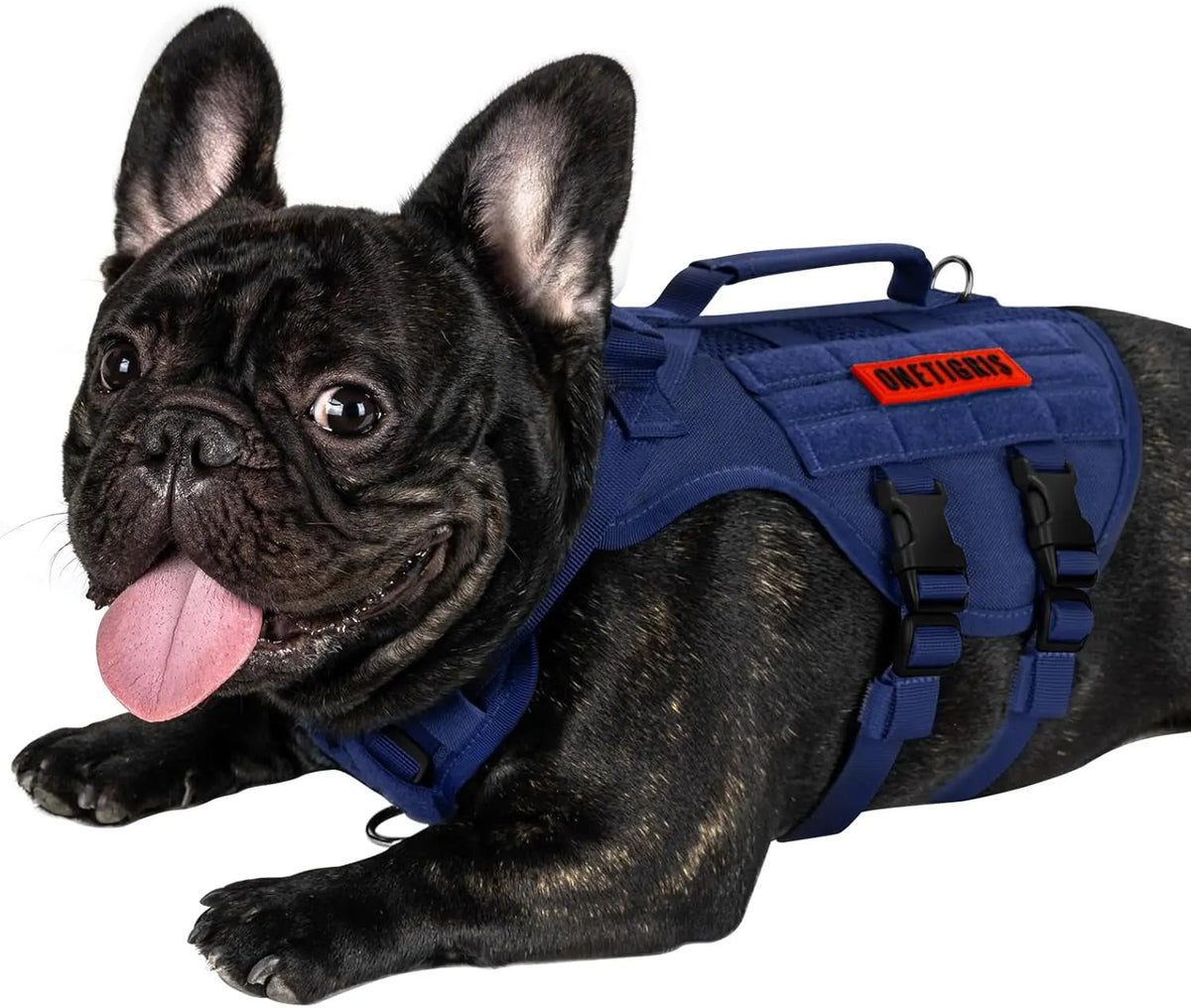 The Stealth MOLLE Harness