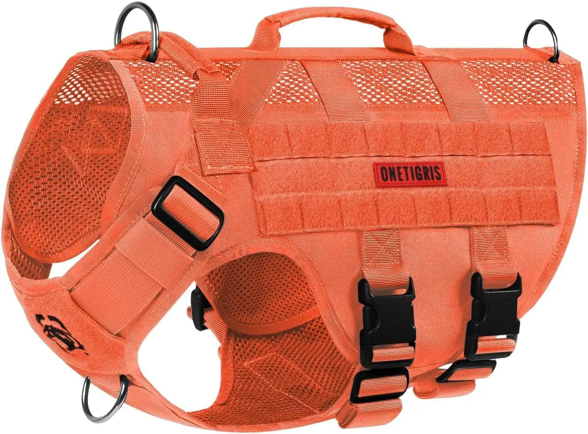 The Stealth MOLLE Harness