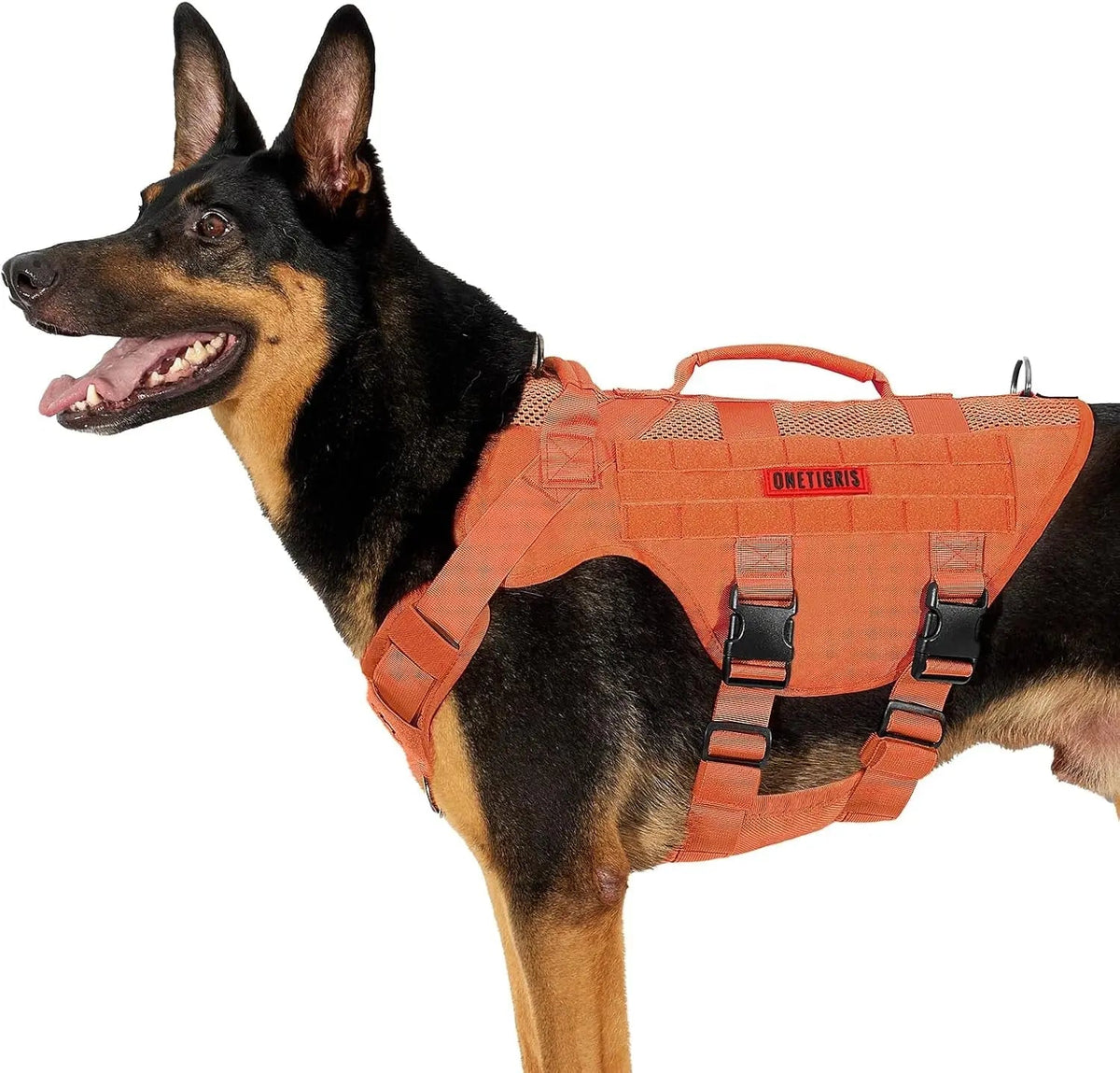 The Stealth MOLLE Harness