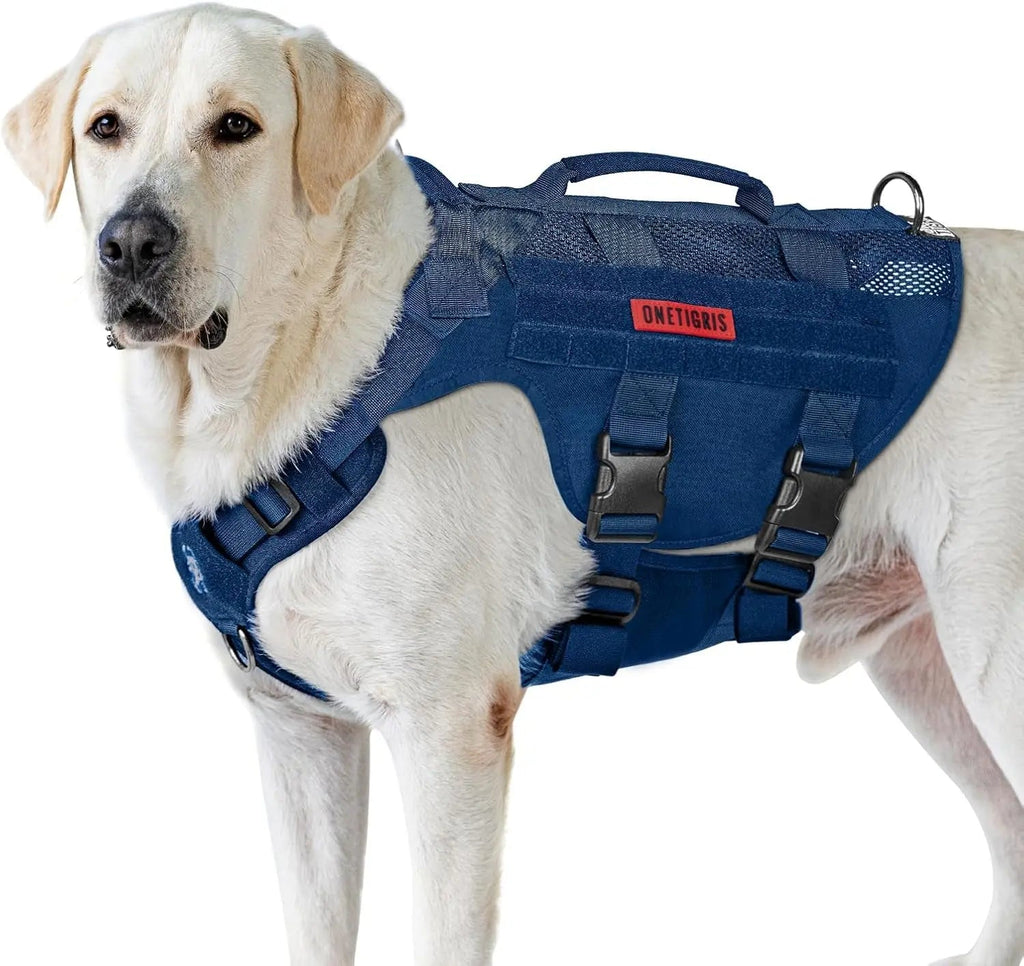 The Stealth MOLLE Harness