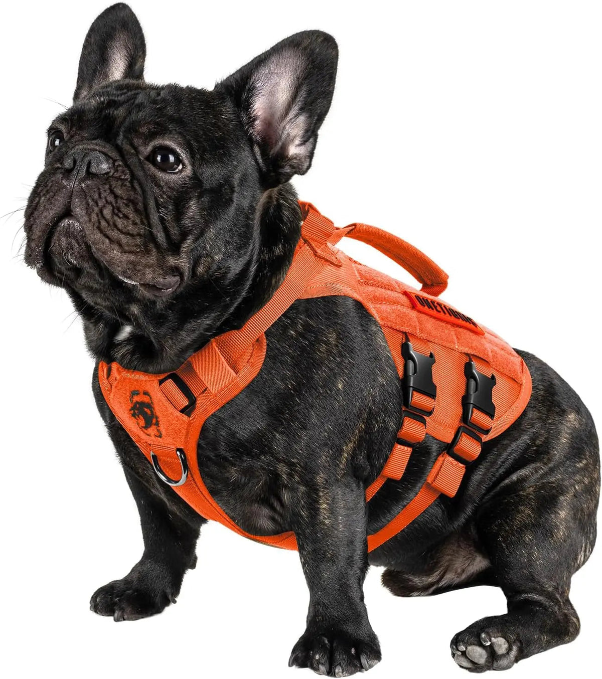 The Stealth MOLLE Harness