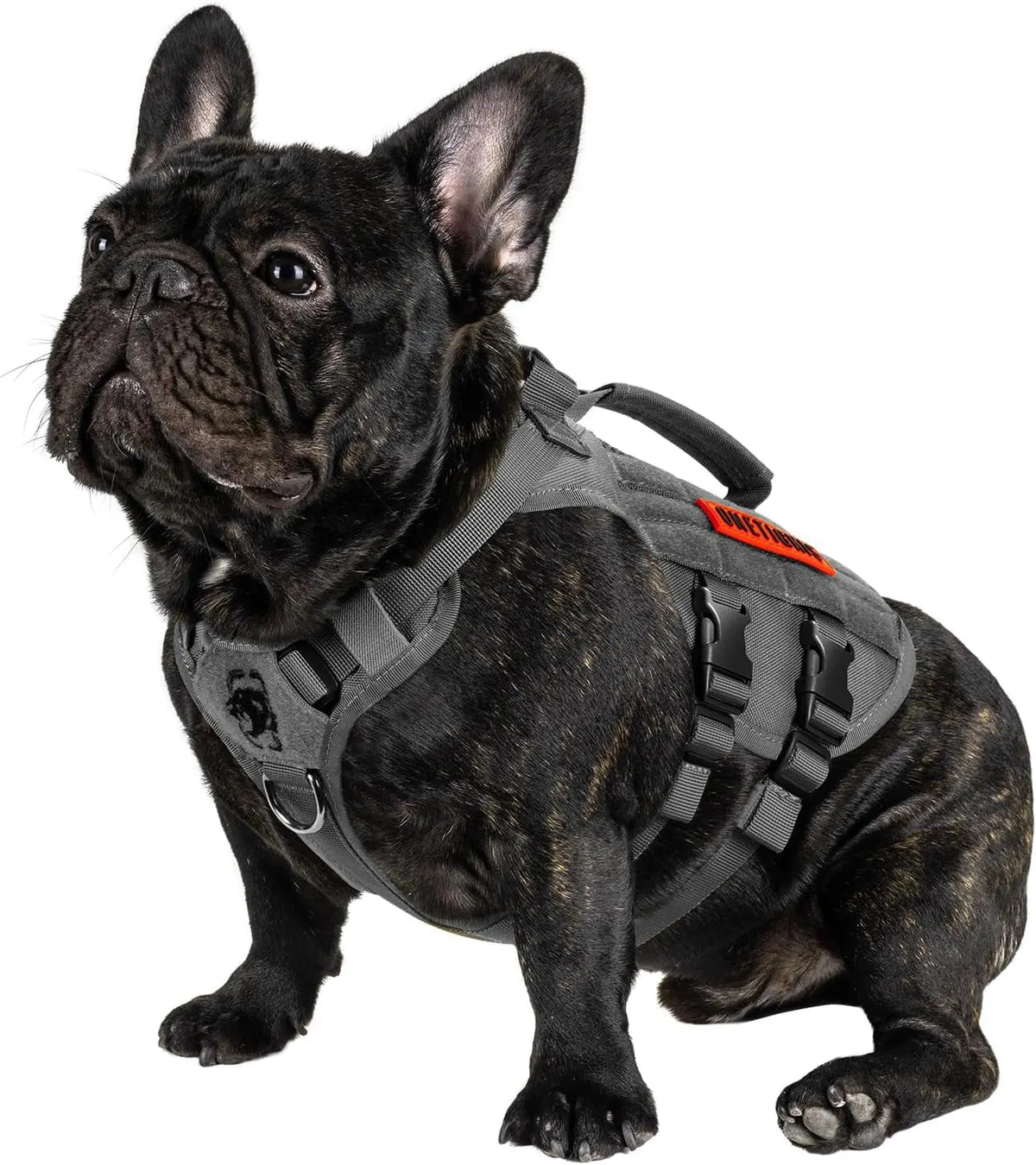 The Stealth MOLLE Harness