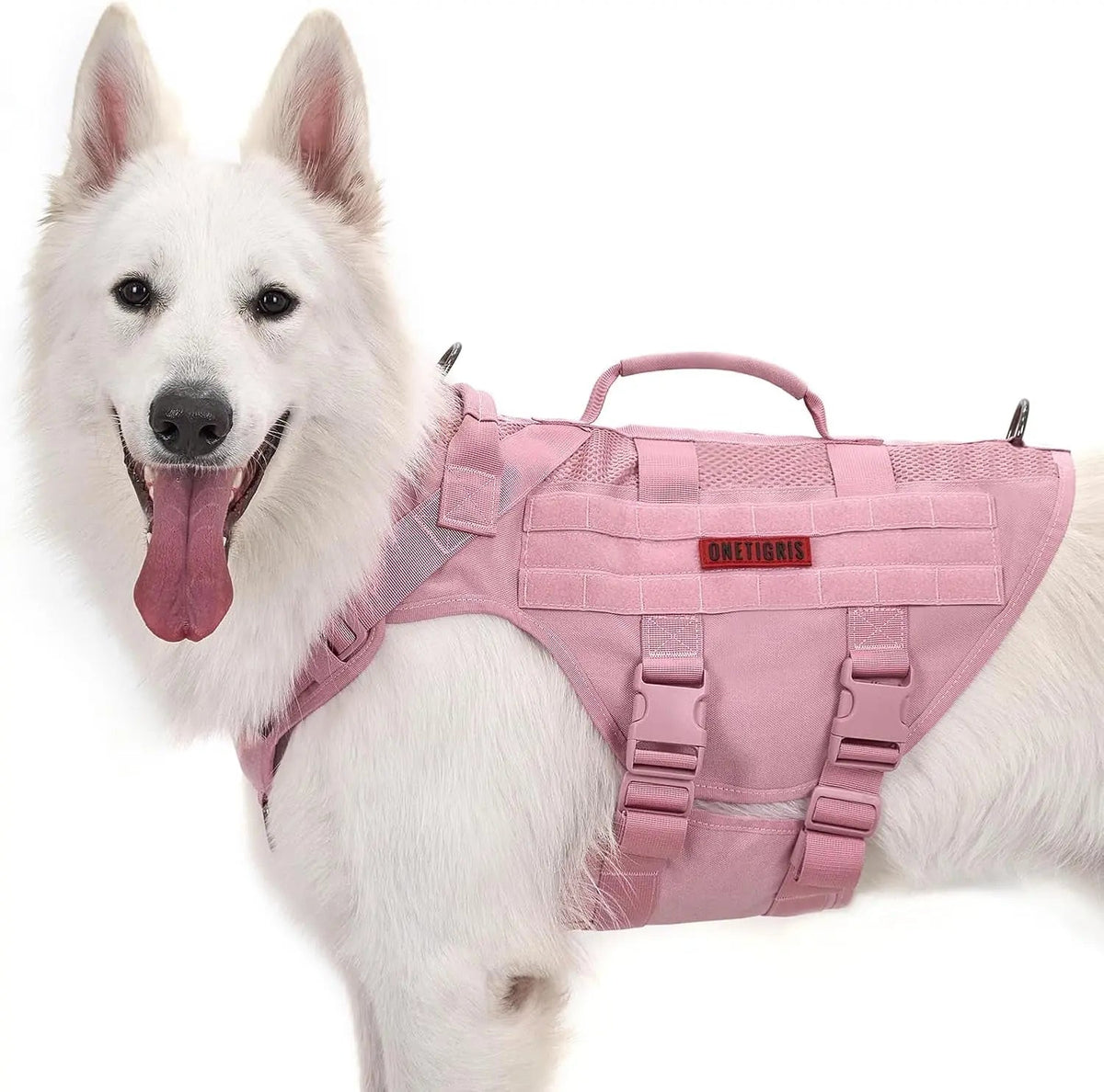The Stealth MOLLE Harness