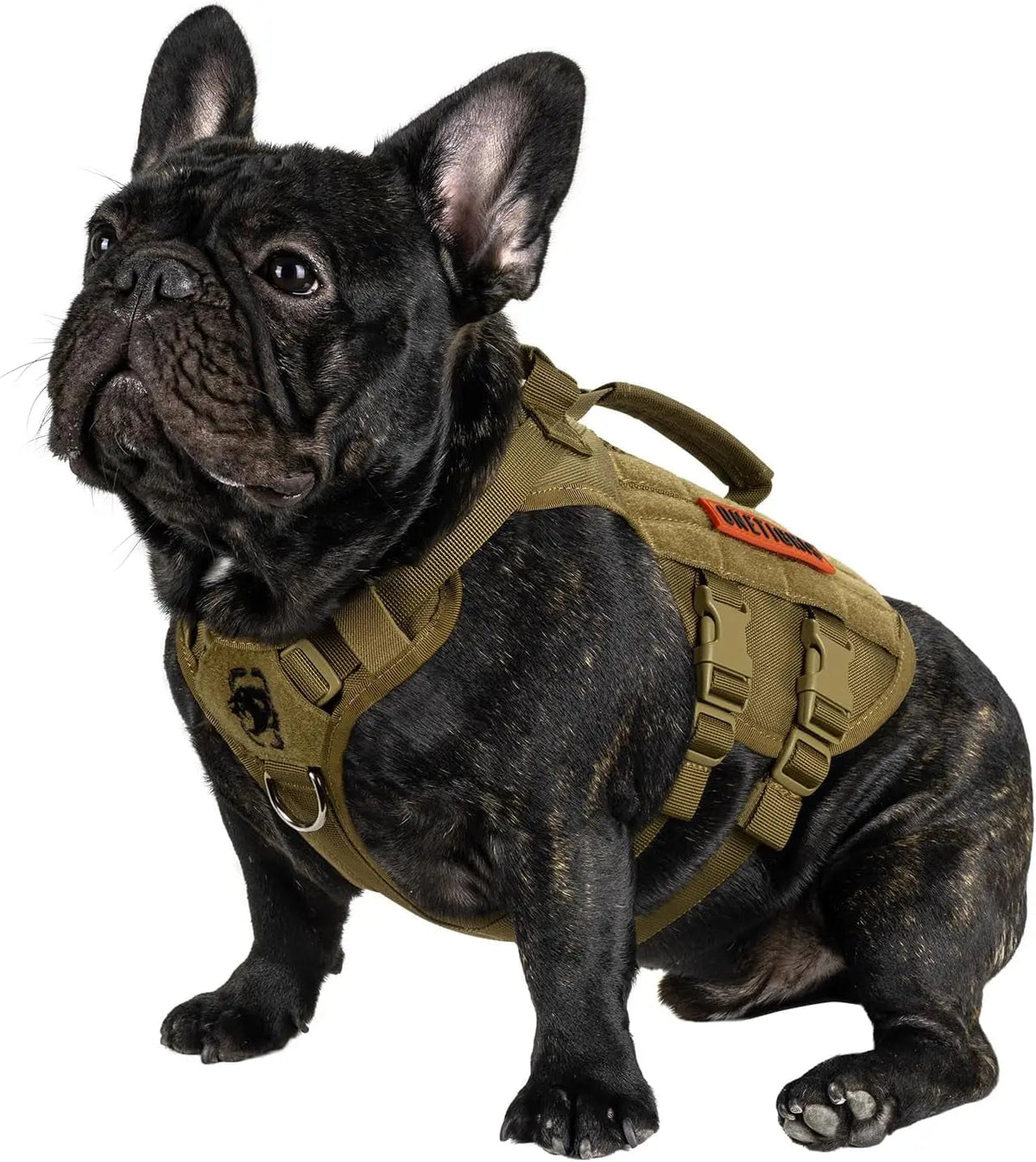 The Stealth MOLLE Harness