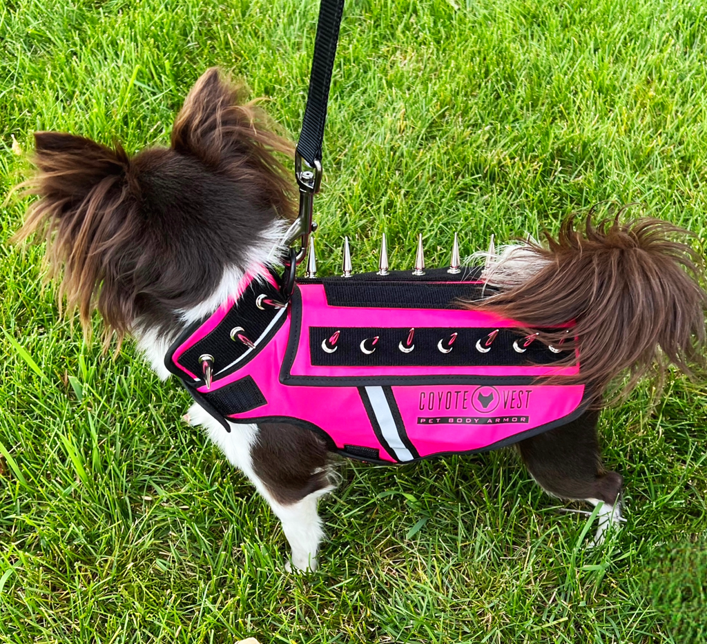 The HawkVest Protection Vest