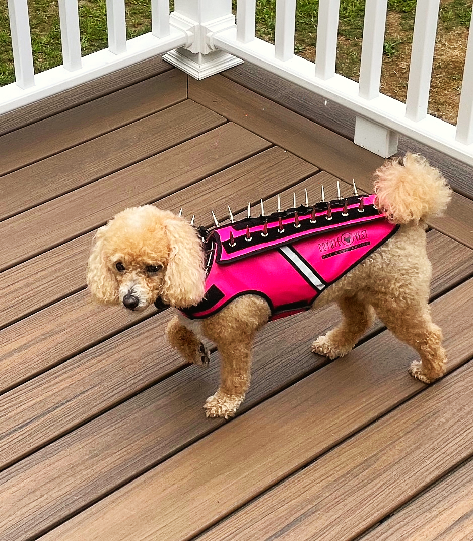 The HawkVest Protection Vest