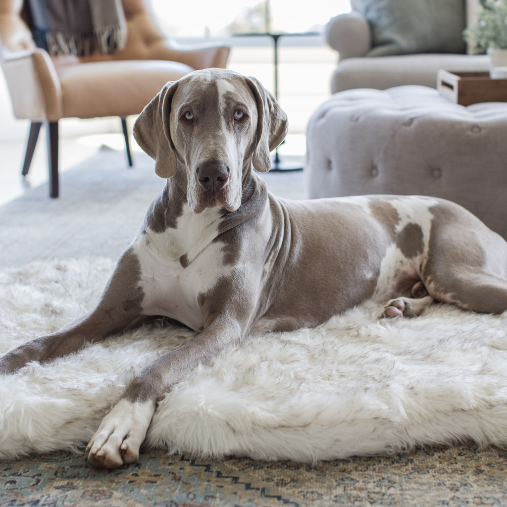PupRug® Faux Fur Orthopedic Dog Bed | Curve White with Brown Accents