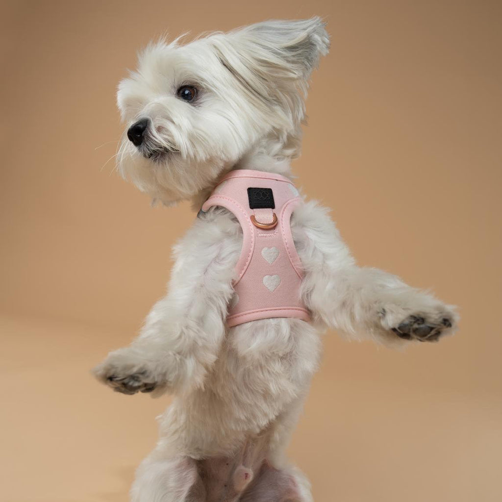 SoHo Step-In Dog Harness — Sweetheart