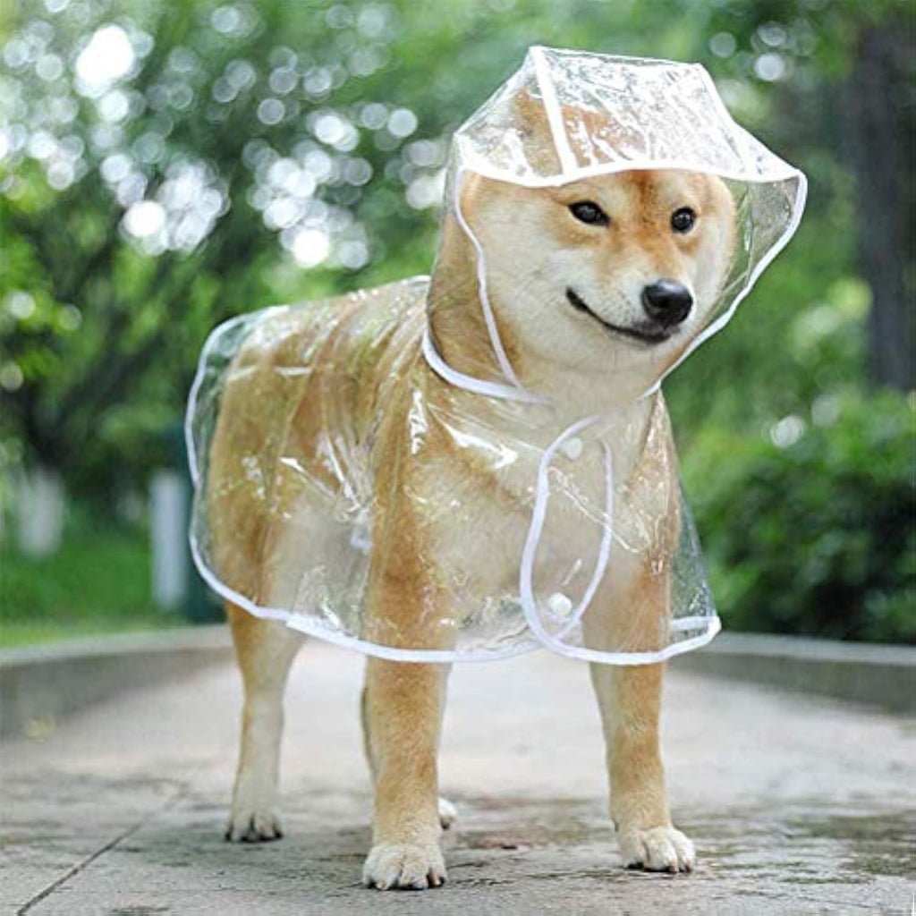 Flauntly Paws Clear Rain Jacket for Dogs