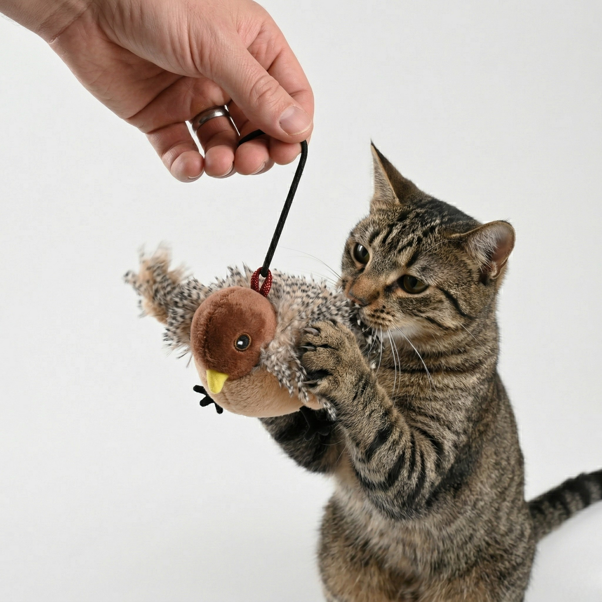 Flauntly Paws Flapping Bird Interactive Cat Toy