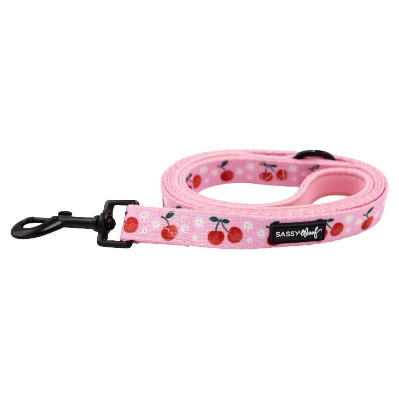 Mon Cherry Fruits Pink Dog Leash