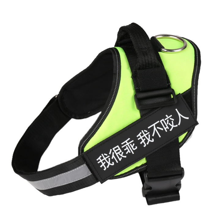 The Custom Reflective Harness