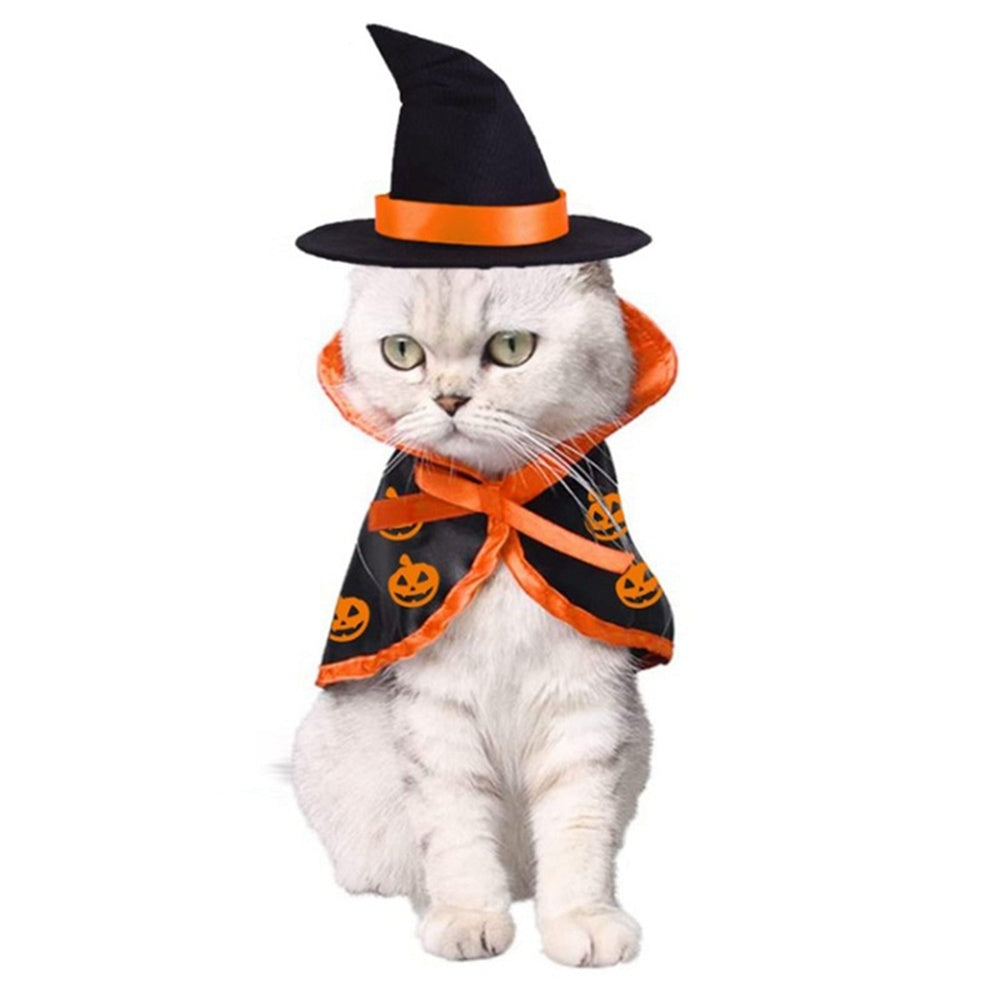 Halloween Cape & Hat Pet Costume Set
