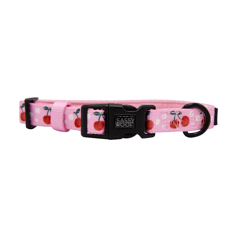 Mon Cherry Fruits Pink Adjustable Dog Collar