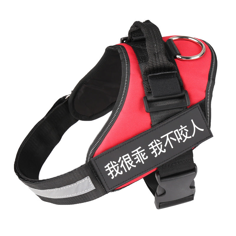 The Custom Reflective Harness