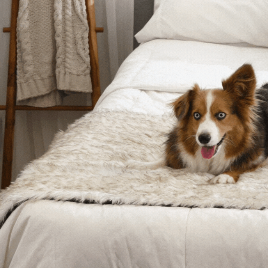 PupProtector™ Faux Fur Waterproof Bed Runner – White with Brown Accents