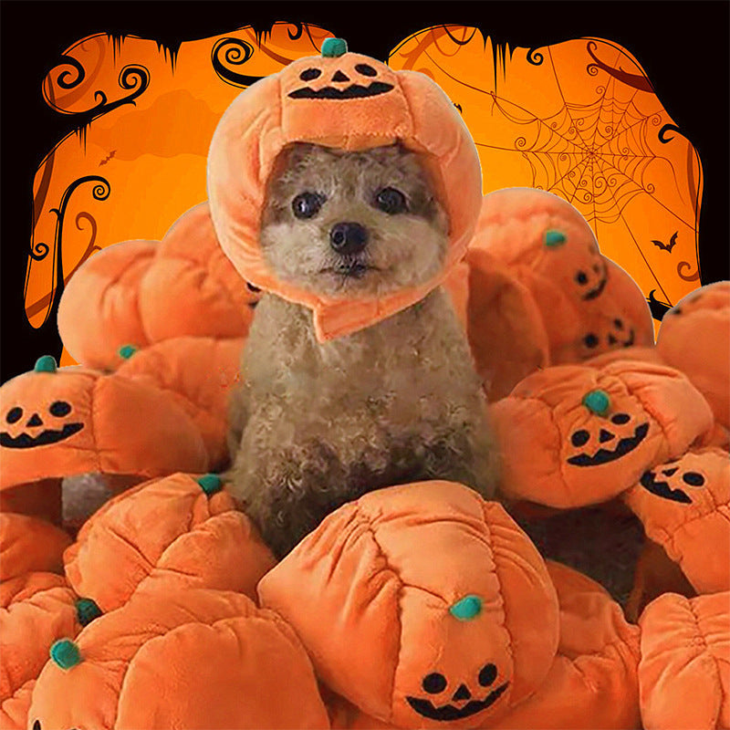 Halloween Pumpkin Head Hat for Dogs & Cats